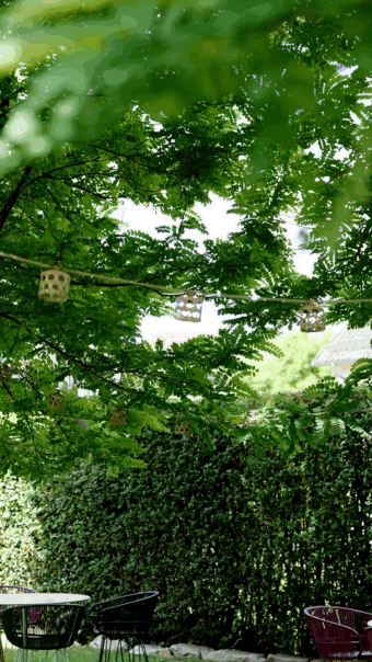 Bewegtbild aus dem Gartenrestaurant